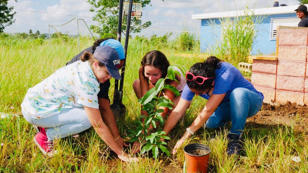 TOA BAJA Hidroponico at 16.12.01 (1)