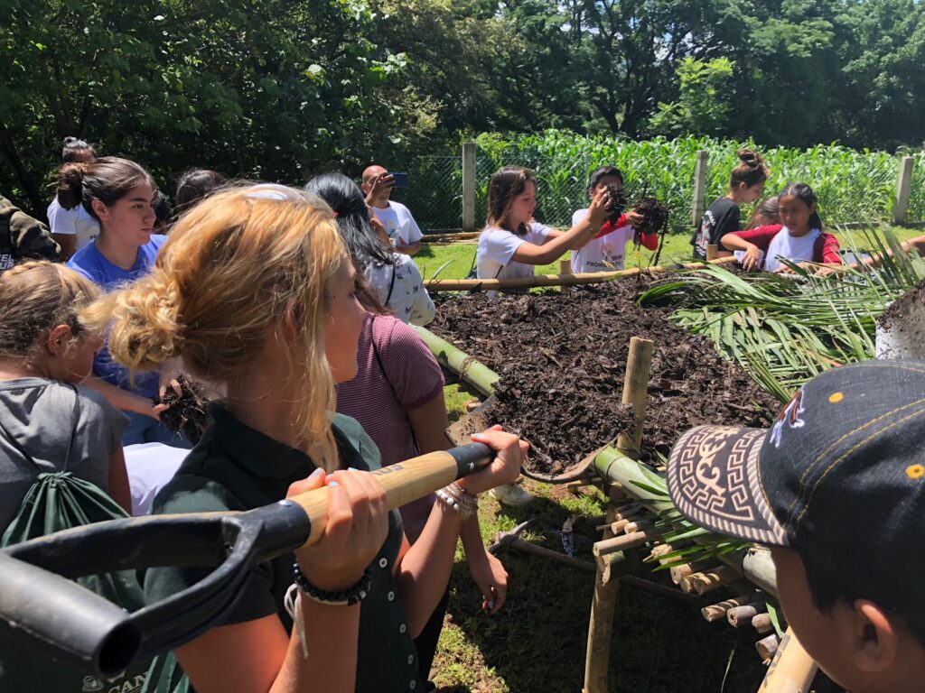 WhatsApp Image 2019-08-01 at 23.17.57