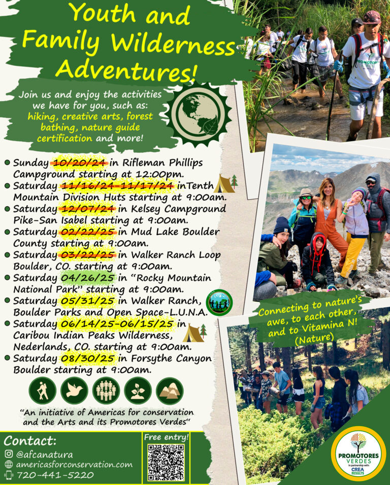 Wilderness-Adventures_Ingles_040225