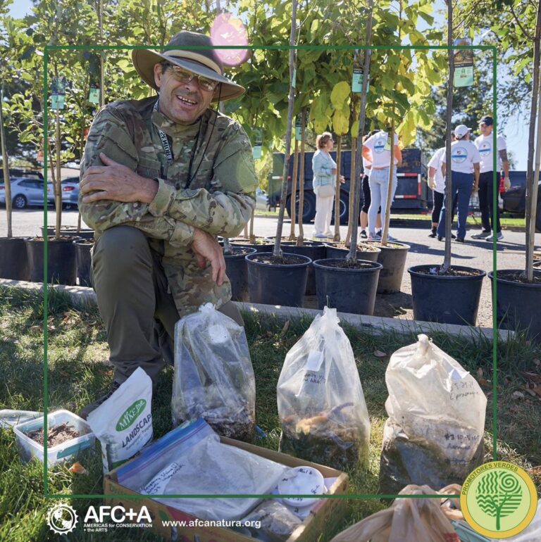 c17_arborist.jpg